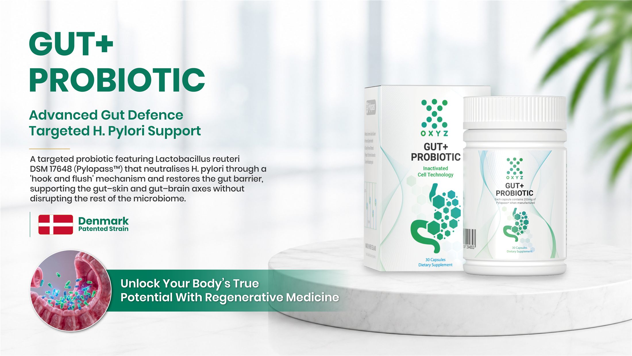 Gut+ Probiotic — Gut Health