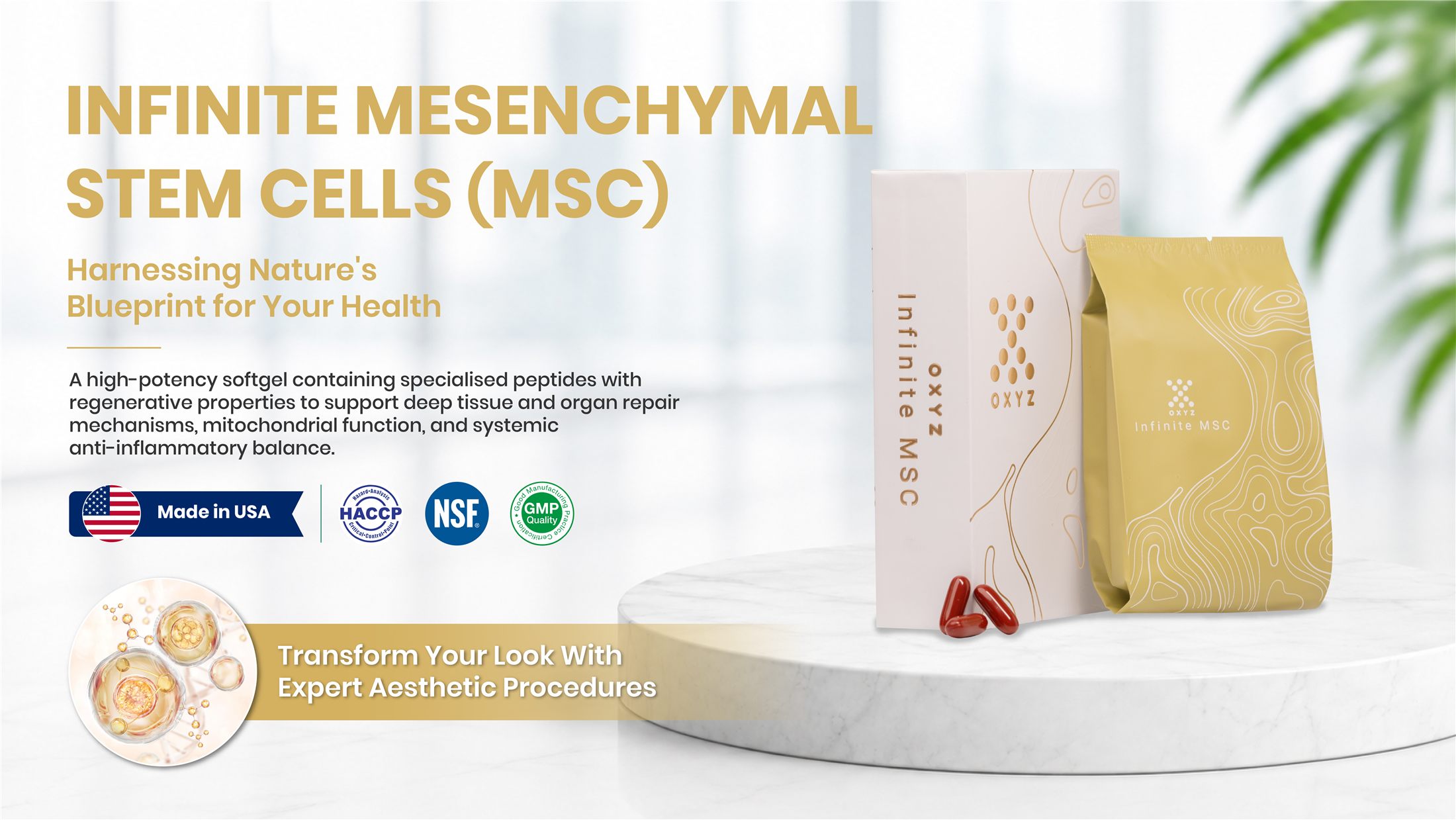 Infinite MSC — Cell Renewal