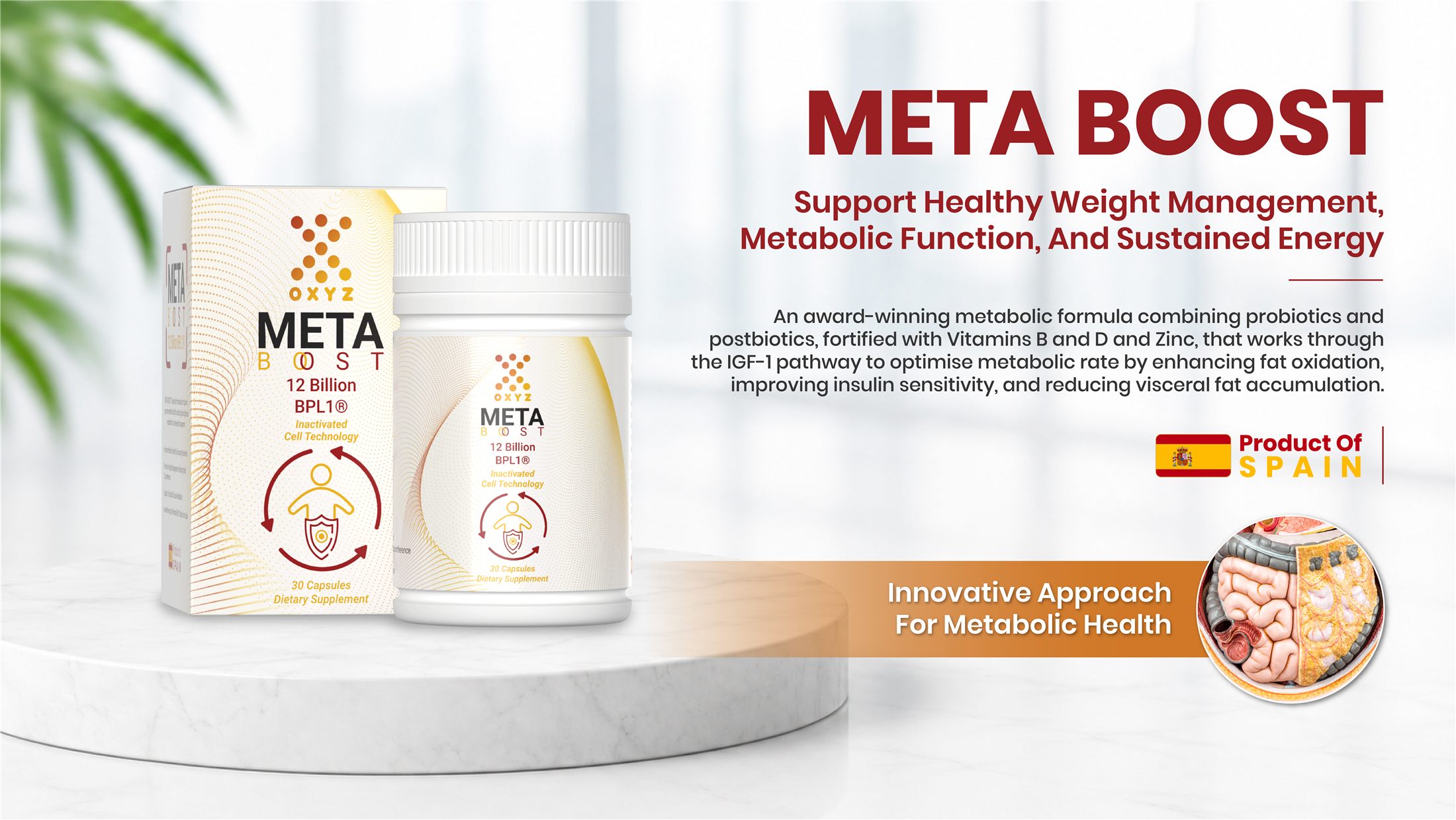 Meta Boost — Metabolism