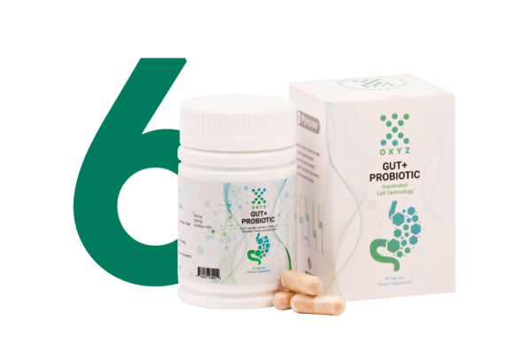 Gut+ Probiotic 6 Boxes