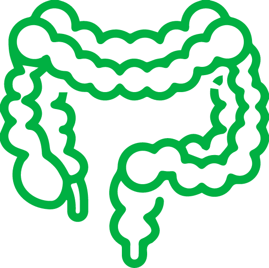 GUT the largest Microbial Environment in the human body.​