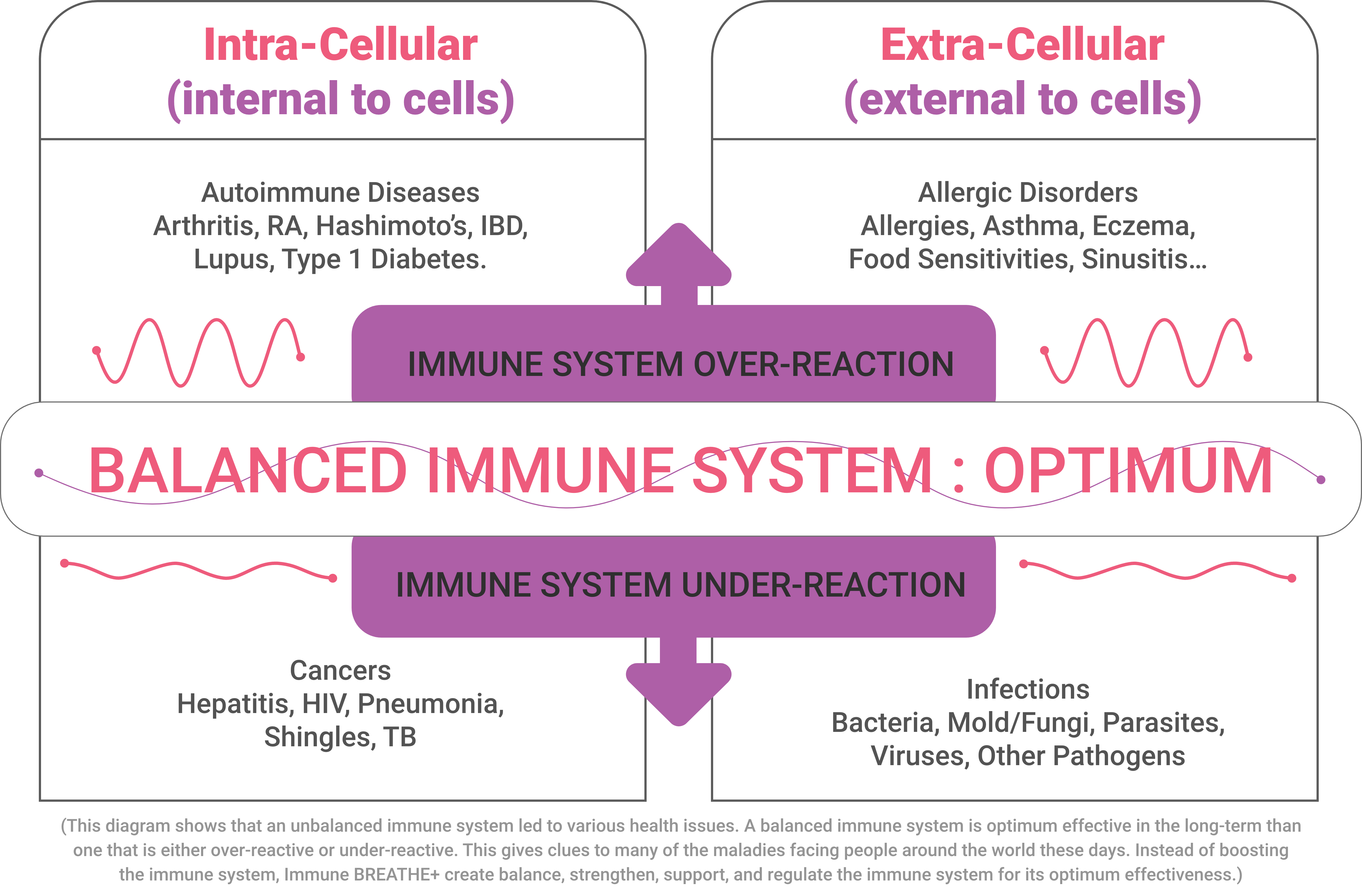 IMMUNE SYSTEM "BALANCE IS BETTER THAN BOOST"