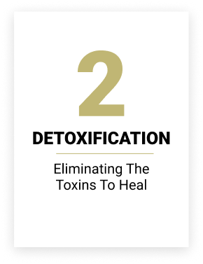 OXYZ's Detoxification